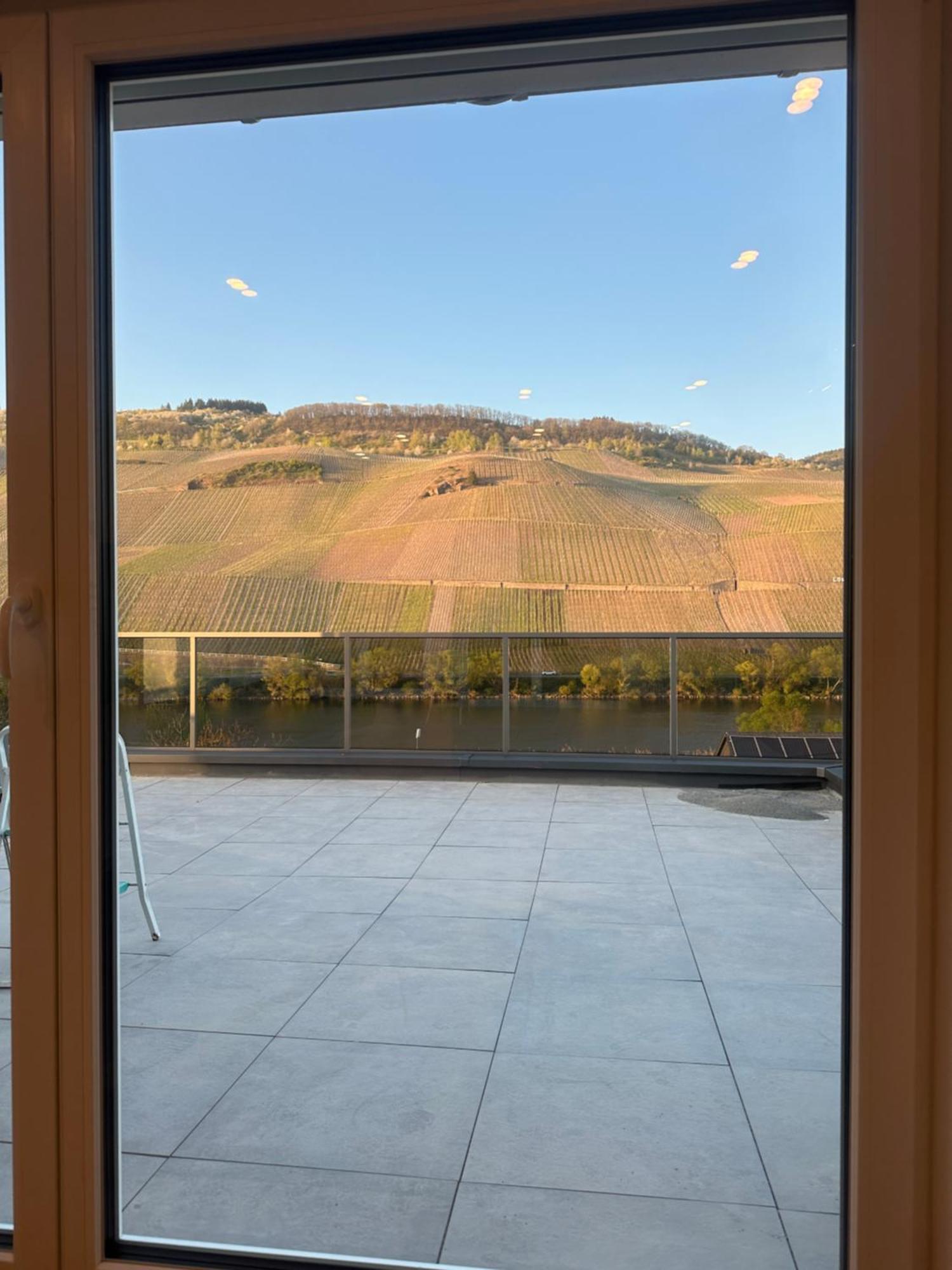 Moselappartements By Weingut Marco Adamy Lösnich Exterior foto
